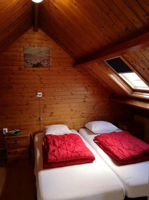 De Stormmeeuw Holiday home *